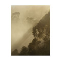 Piece of Silence - Thumbnail View 1