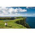 Green Ireland - Thumbnail View 1