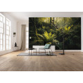 Fjordland Woods  - Thumbnail View 1