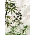 Forest of Magic - Thumbnail View 1