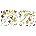 Cheerful - Thumbnail View 1