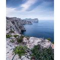 Bizarre Coast - Thumbnail View 1