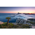 Island Paradise - Thumbnail View 1