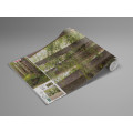 Redwood Trail - Thumbnail View 1