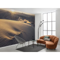 Mojave Heights  - Thumbnail View 1