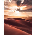 God Rays - Thumbnail View 1