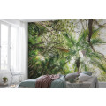 Touch the Jungle  - Thumbnail View 1