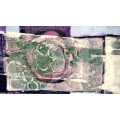 Lemon Peely rose - Thumbnail View 1
