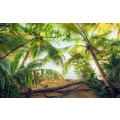 Piratenversteck - Thumbnail View 1
