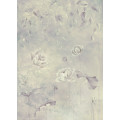 Water Lily - Thumbnail View 1