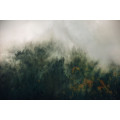 Tales of the Carpathians - Thumbnail View 1