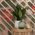 Cactus - Thumbnail View 1