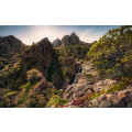 Rainbow Lands - Thumbnail View 1