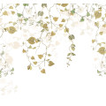 Hedera - Thumbnail View 1