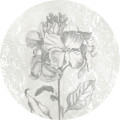 Barock Beauty - Thumbnail View 1