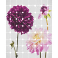 Flowers & Dots - Thumbnail View 1