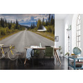 Atlin Road - Thumbnail View 1