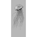 Jellyfish - Thumbnail View 1