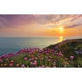 Land´s End - Thumbnail View 1