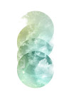 Tessera Nova
