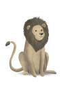 Cute Animal Lion