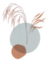 Bohemian Reedbeds