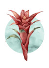 Funky Flower