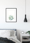 Aloe Watercolor