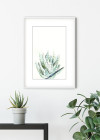 Aloe Watercolor