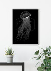 Jellyfish Black