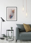 Animals Forest Fox