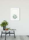 Aloe Watercolor