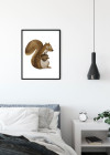 Cute Animal Squirrel