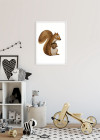 Cute Animal Squirrel