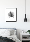 Feather White