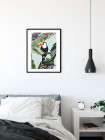 Toco Toucan
