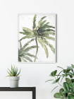 Tropical Toucan