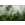 Forest Land - Thumbnail View 1