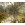 Palms Panorama - Thumbnail View 1