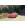 Disney and Pixar Cars Every Road has a Story - Thumbnail View 1