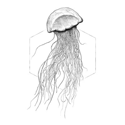 Jellyfish White