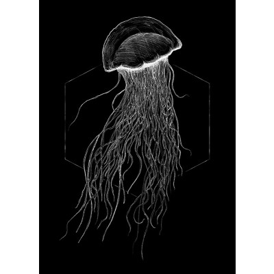 Jellyfish Black