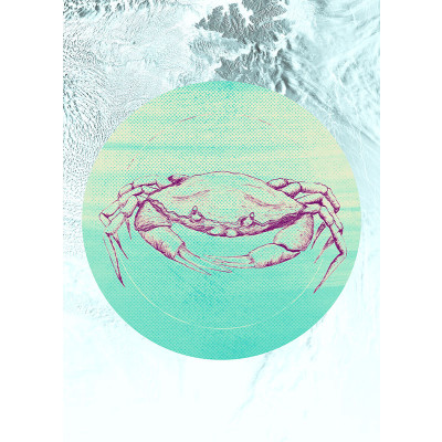 Crab Sea