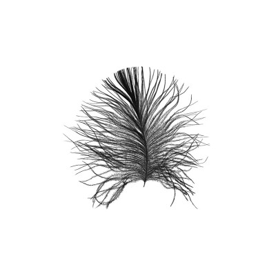 Feather White