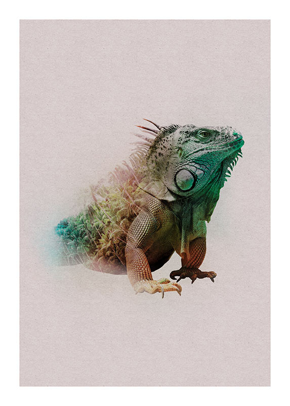 ohne Original Iguana Komar® mit Animals Rahmen Paradise oder Wandbild