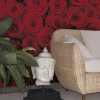 Roses - View 1