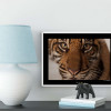 Sumatran Tiger Portrait - View 1