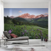 Picturesque Switzerland - View 1