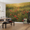 Poppy World I - View 1