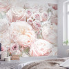 Spring Roses - View 1